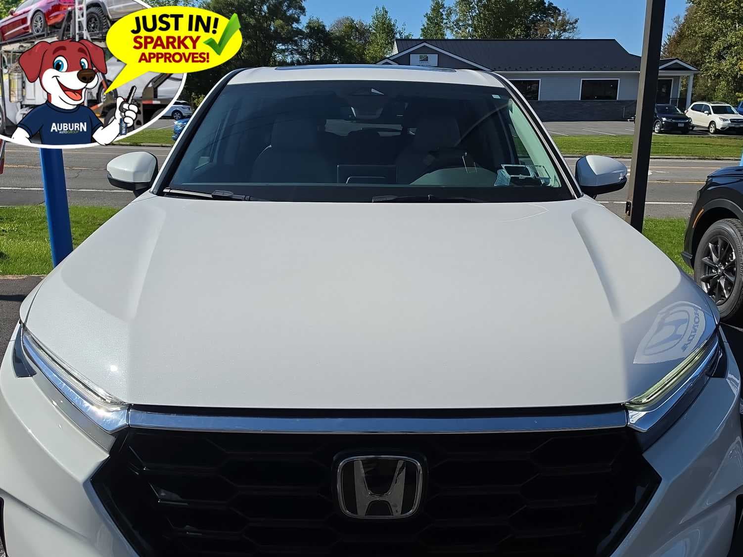 2024 Honda CR-V EX-L — photo 1 of 12