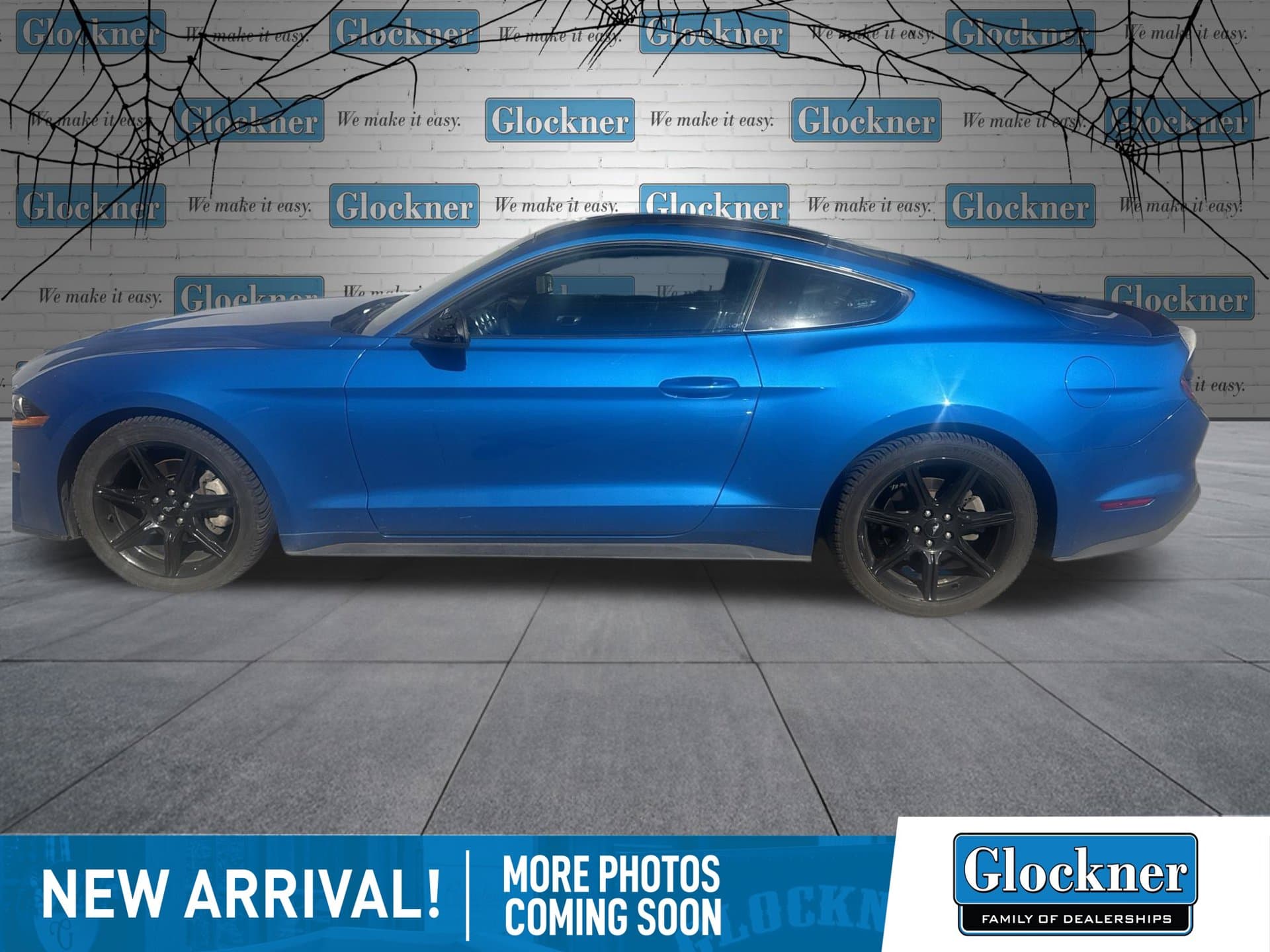 2019 Ford Mustang EcoBoost — photo 1 of 11
