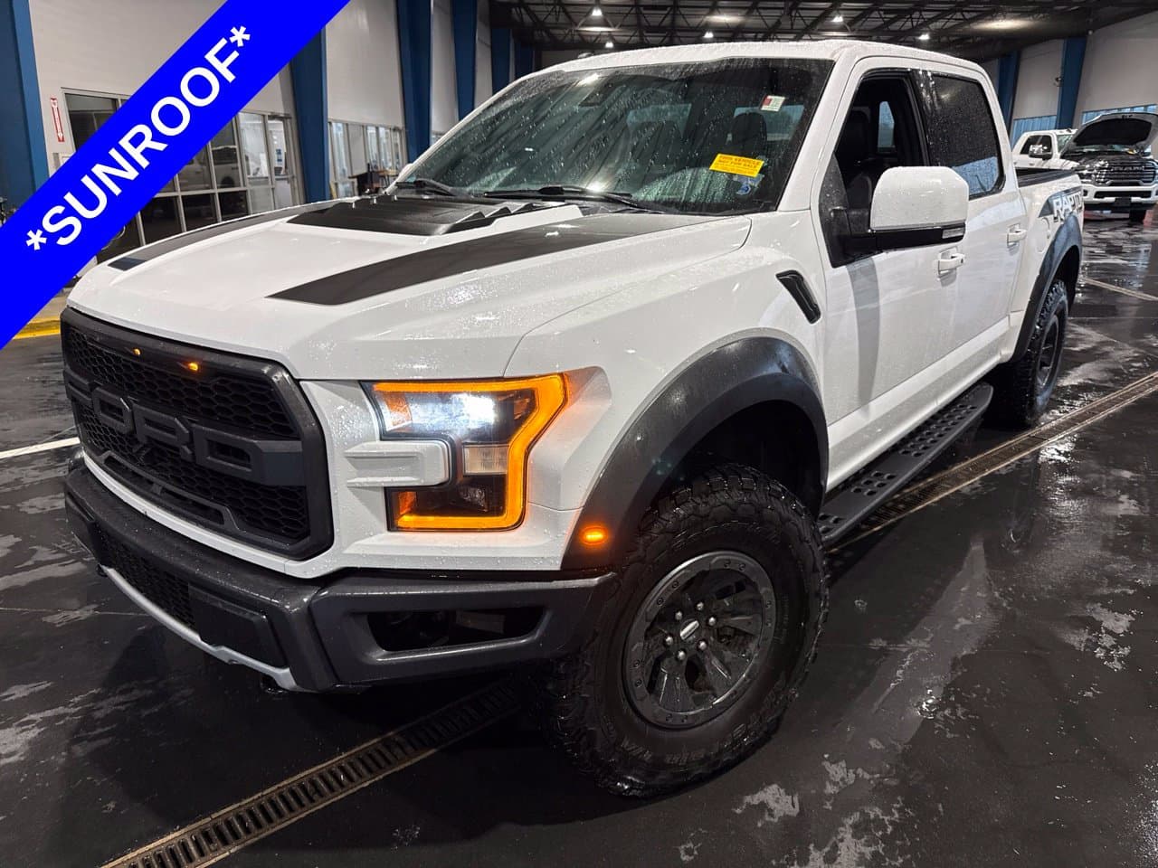 2017 Ford F-150 Raptor — photo 1 of 27
