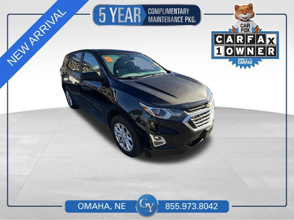 2020 Chevrolet Equinox LS — photo 1 of 4
