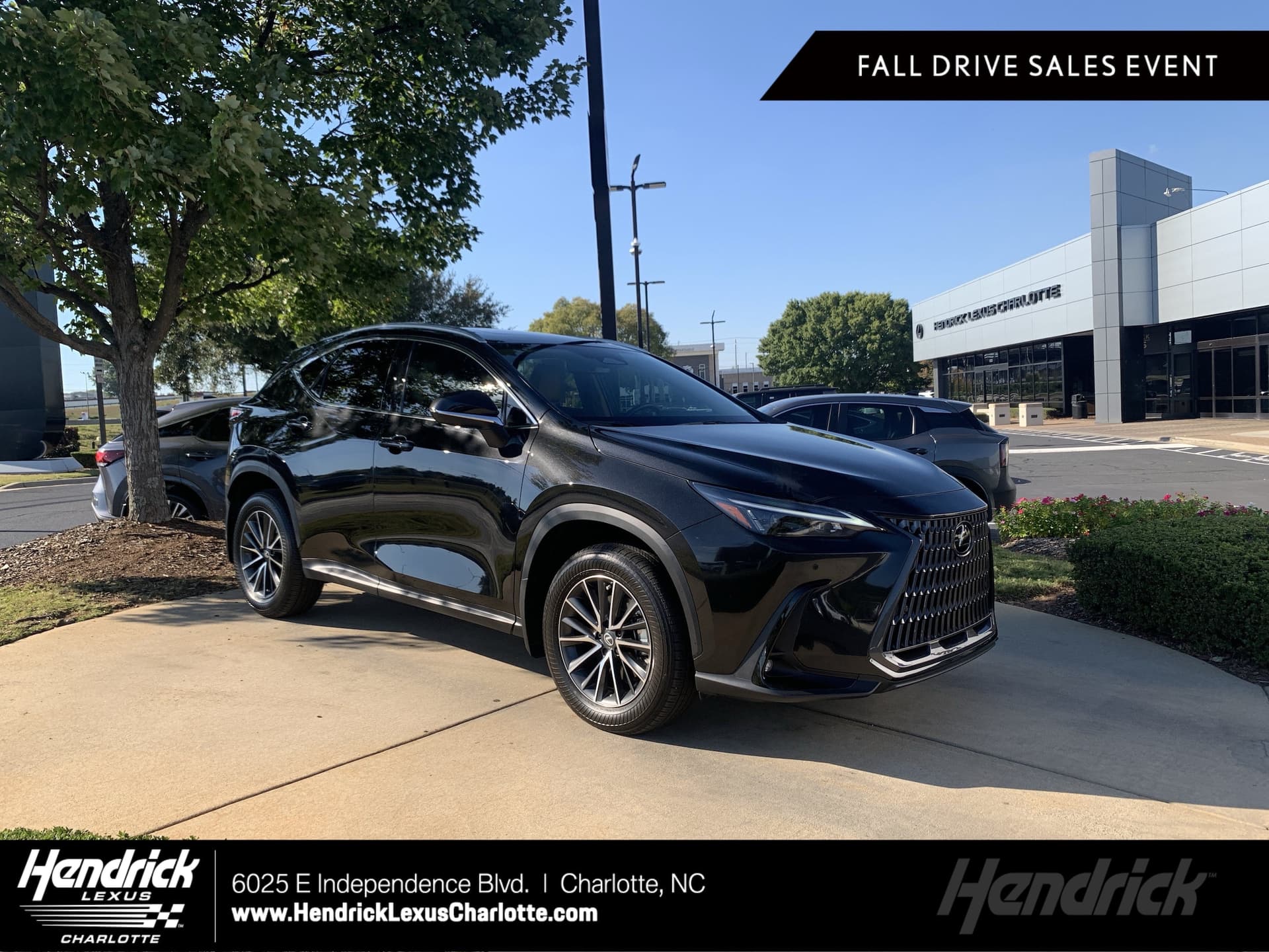 2026 Lexus NX NX 350 — photo 1 of 36