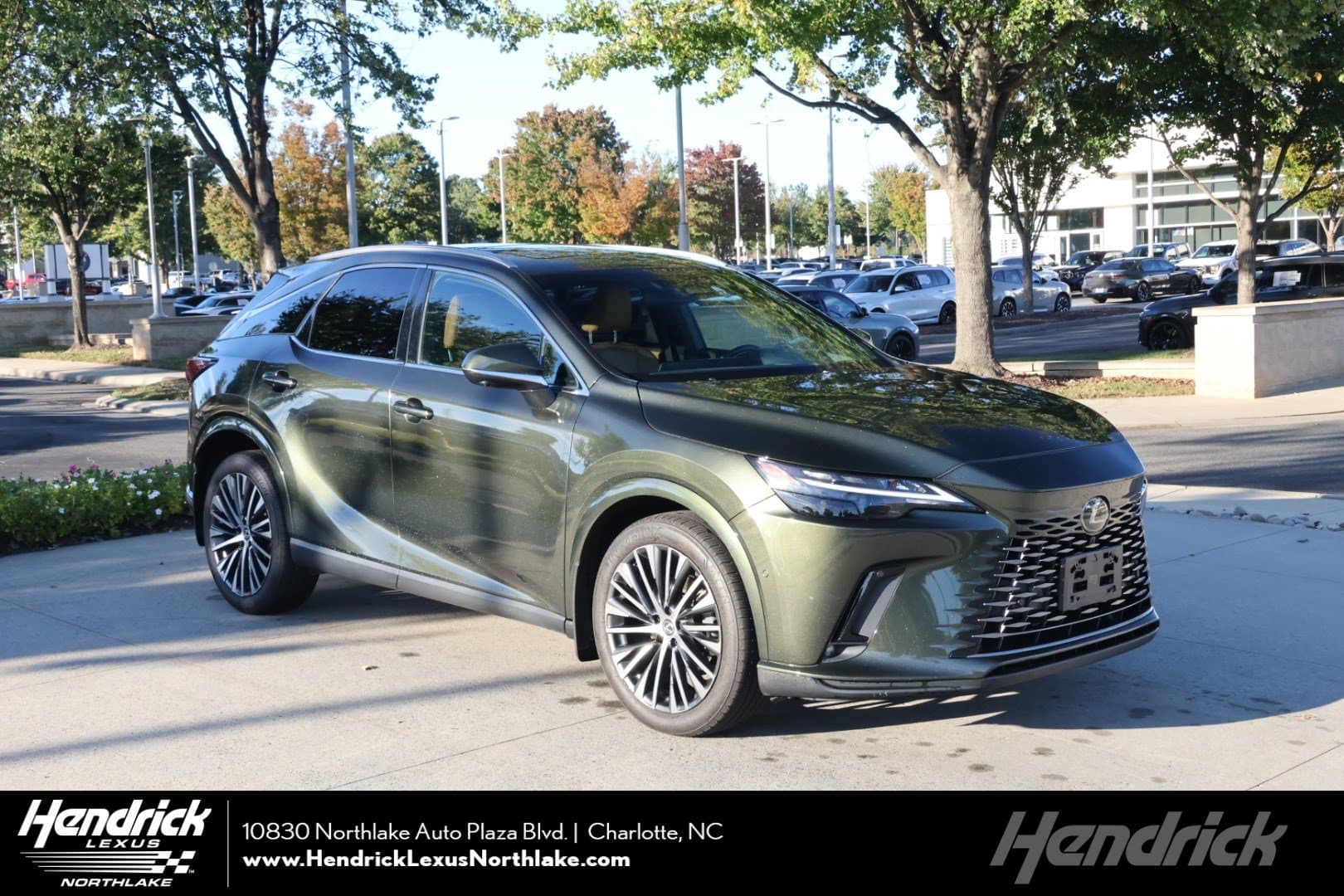 2023 Lexus RX Base — photo 1 of 36