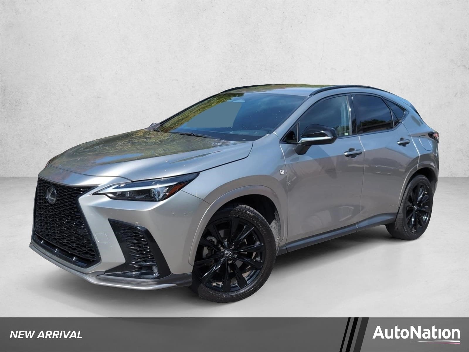 2022 Lexus NX NX 350 F SPORT Handling — photo 1 of 30