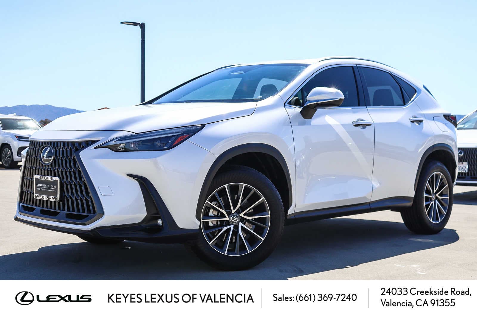 2024 Lexus NX NX 350 — photo 1 of 31