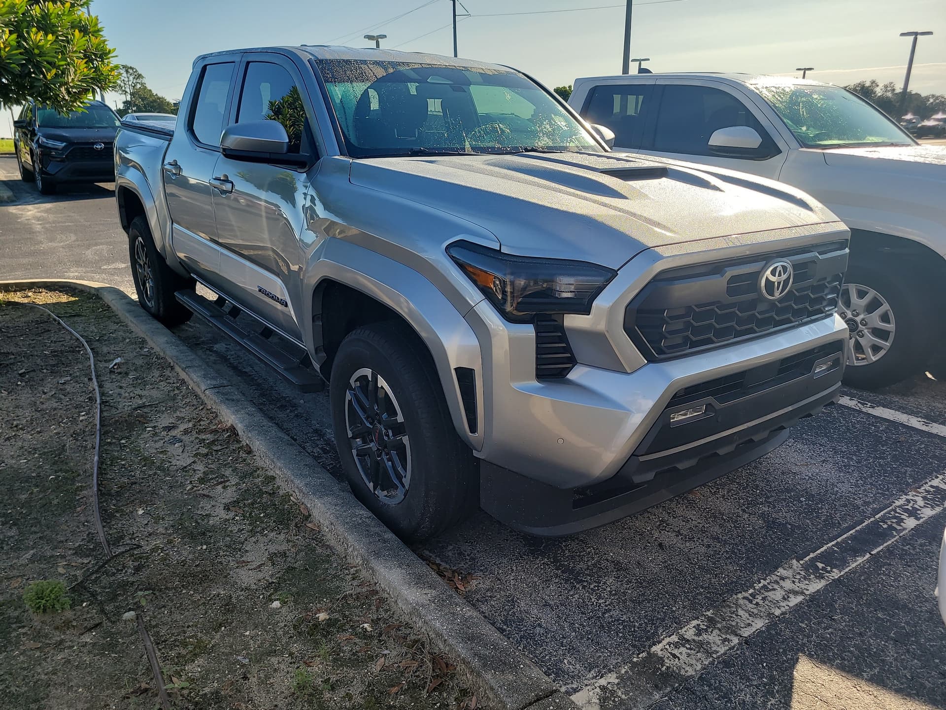 2024 Toyota Tacoma 2WD TRD Sport — photo 1 of 10
