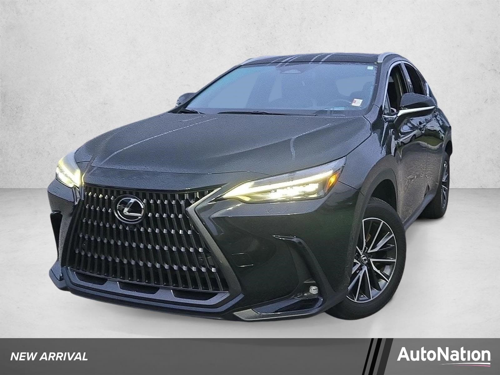 2024 Lexus NX Base — photo 1 of 15