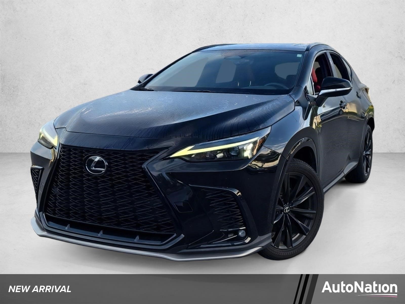 2024 Lexus NX Base — photo 1 of 15