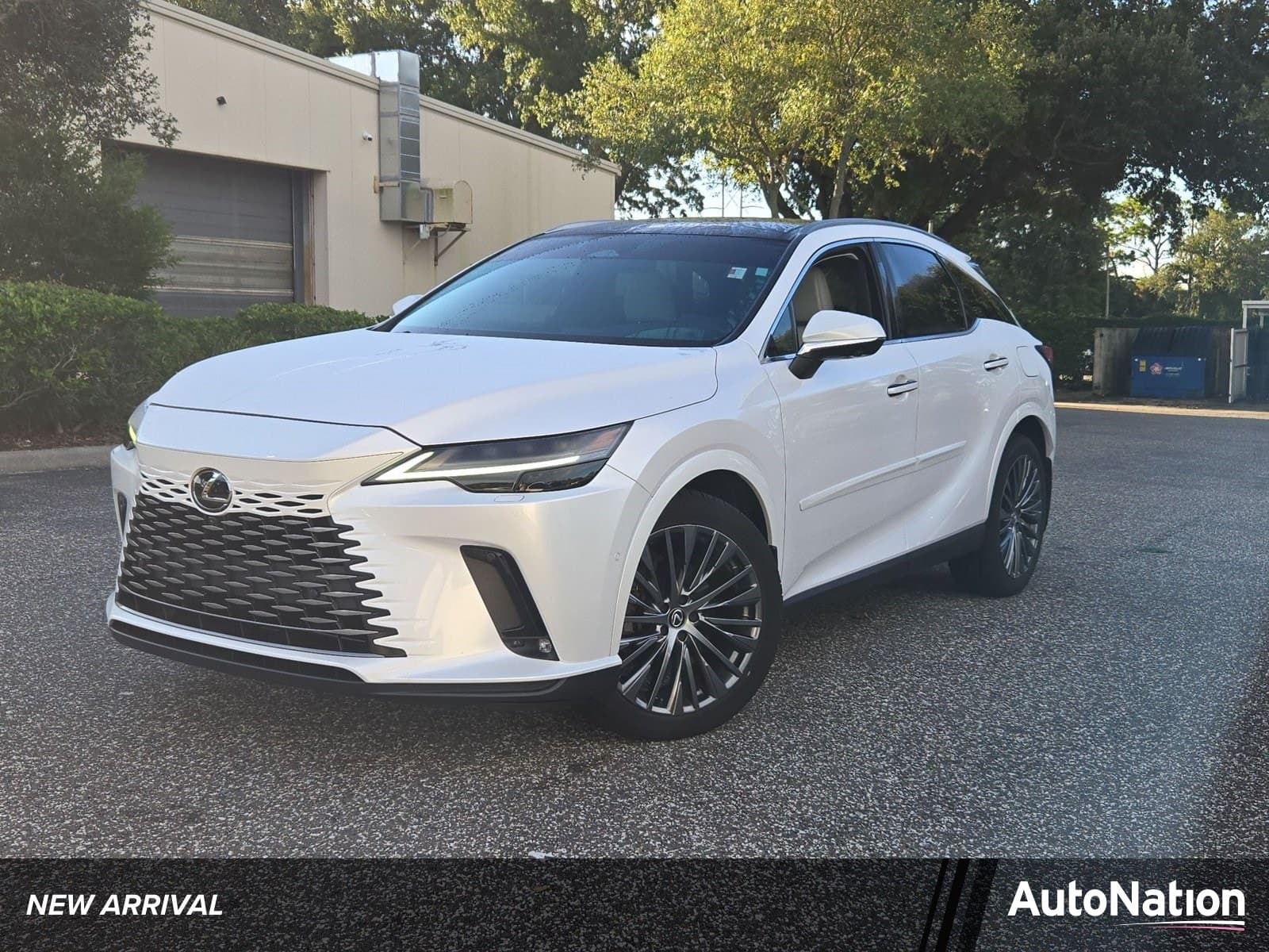 2024 Lexus RX RX 350 Luxury — photo 1 of 15
