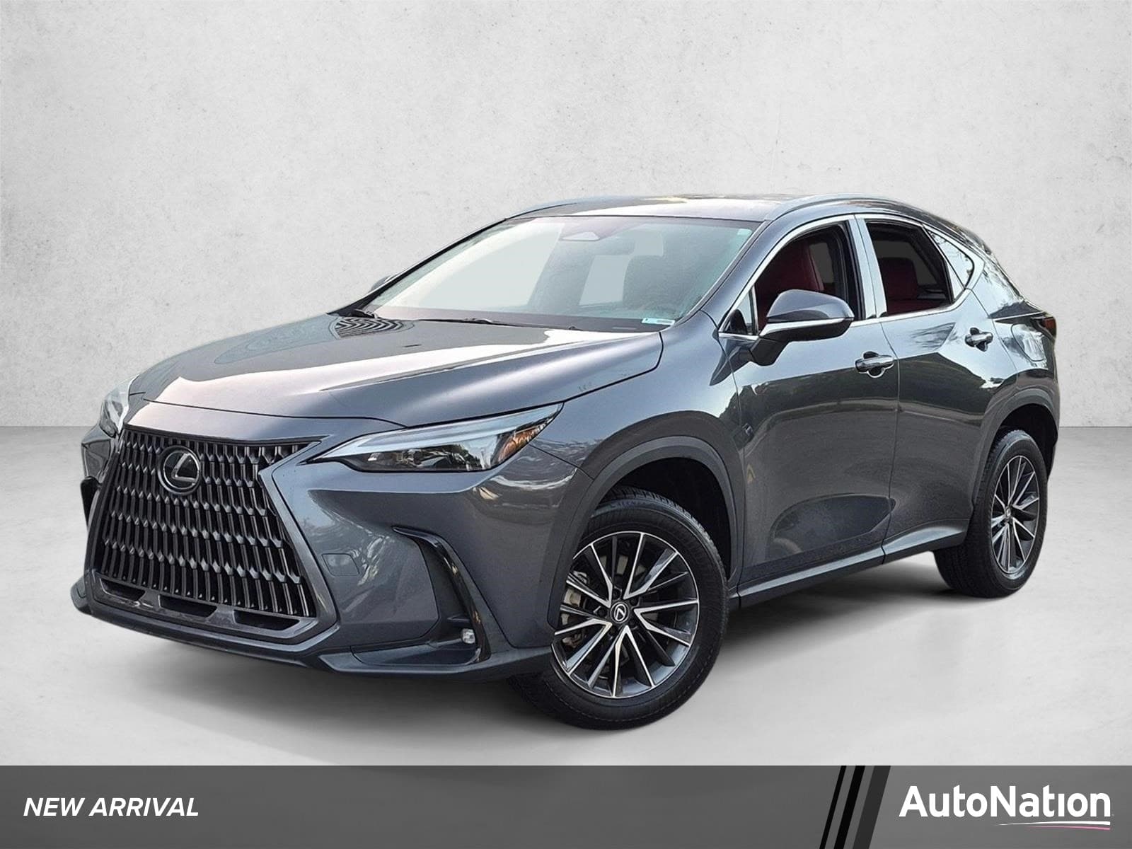 2024 Lexus NX NX 250 — photo 1 of 16