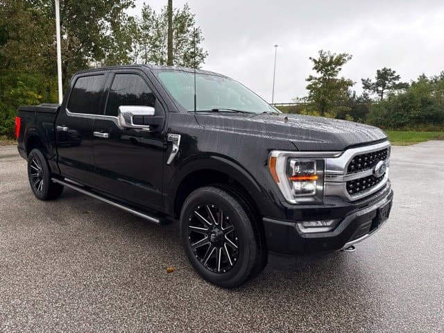 2022 Ford F-150 Platinum — photo 1 of 13