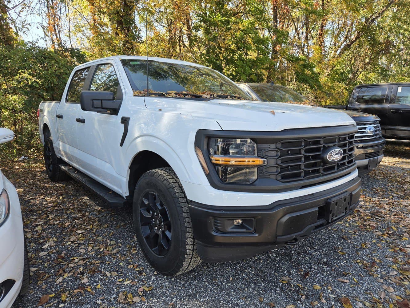2024 Ford F-150 STX — photo 1 of 4
