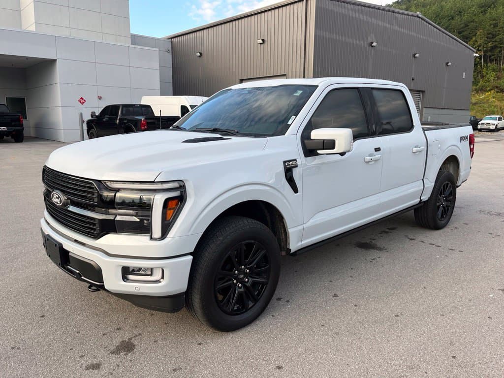 2025 Ford F-150 Platinum — photo 1 of 13