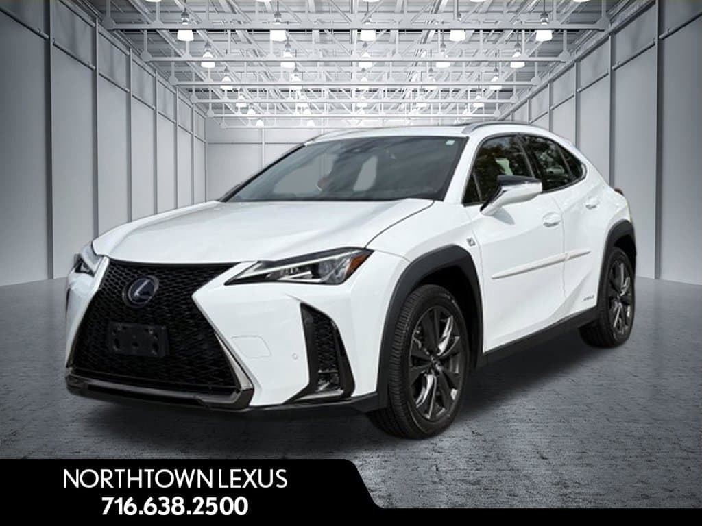 2019 Lexus UX UX 250h F SPORT — photo 1 of 28