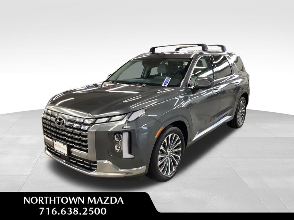 2025 Hyundai Palisade Calligraphy — photo 1 of 31