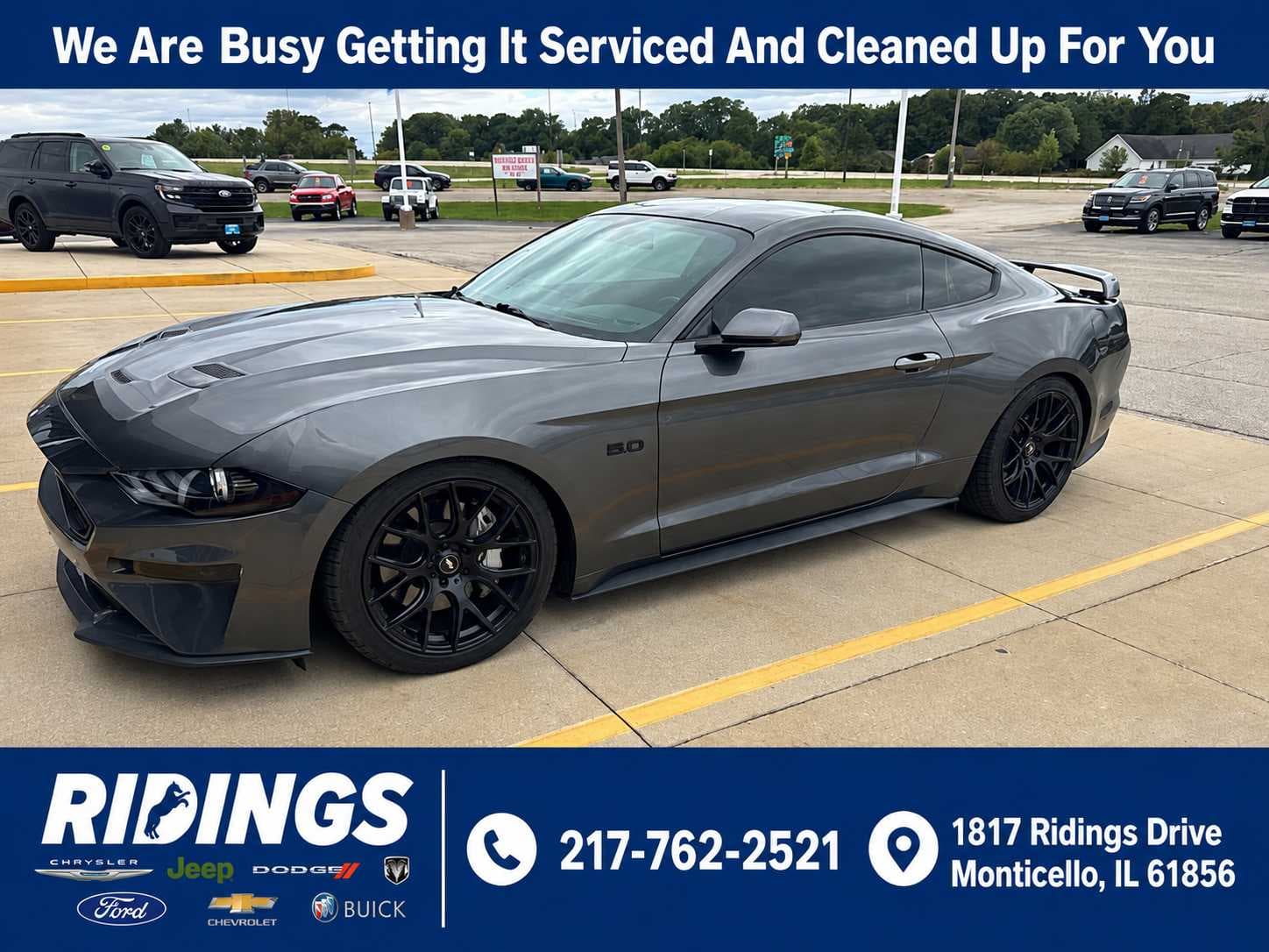 2019 Ford Mustang GT Premium — photo 1 of 13