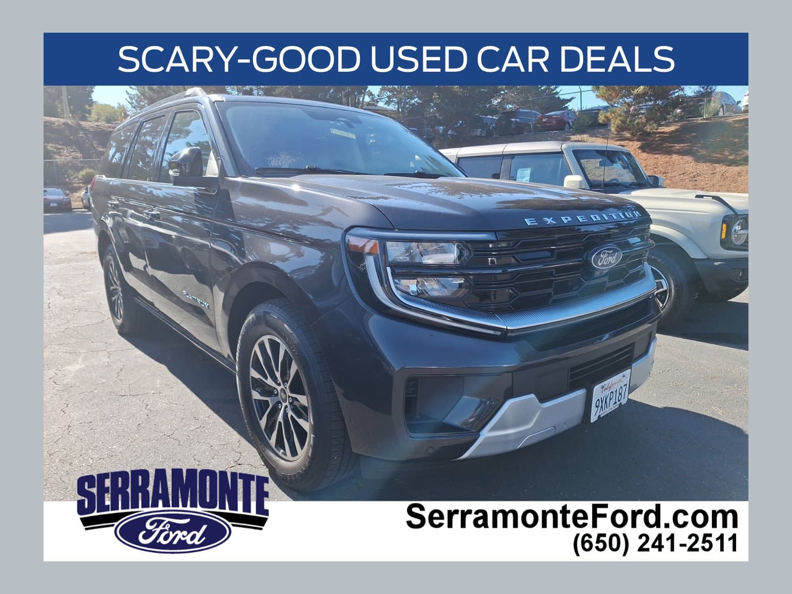2025 Ford Expedition Platinum — photo 1 of 21