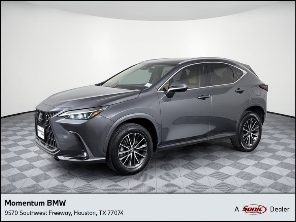 2022 Lexus NX NX 250 — photo 1 of 31