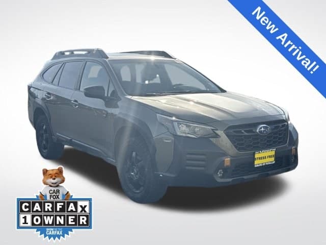 2022 Subaru Outback Wilderness — photo 1 of 14