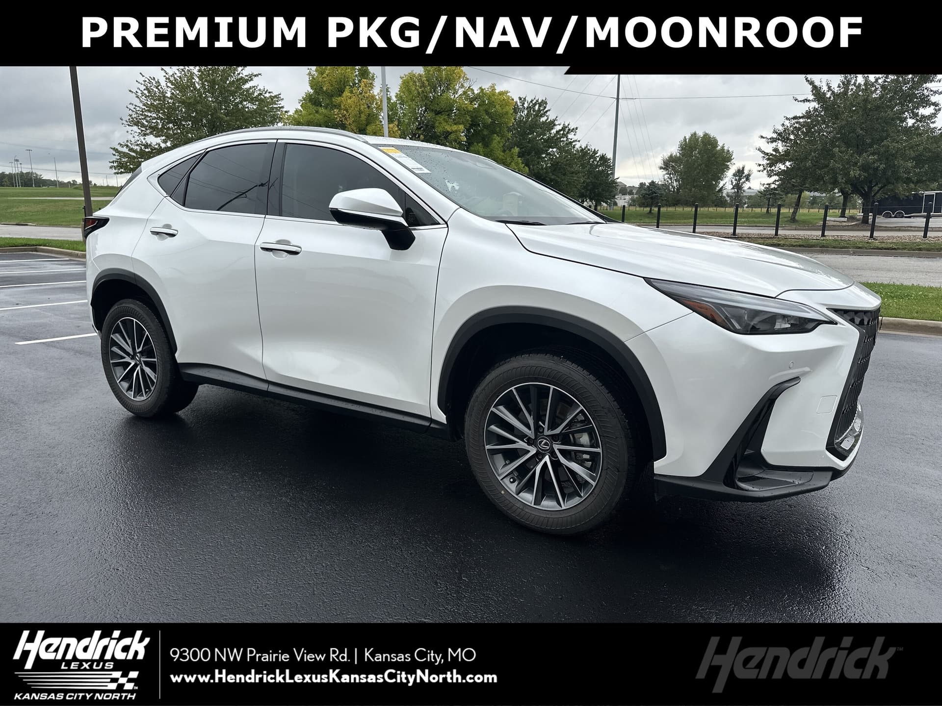 2024 Lexus NX Base — photo 1 of 36