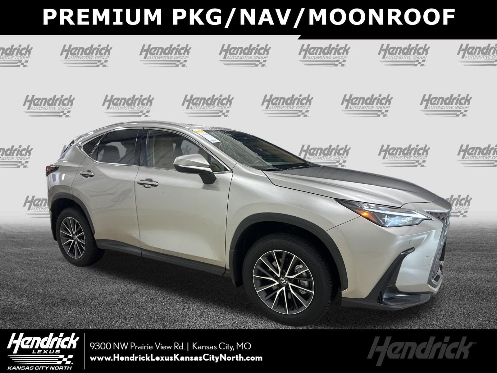 2024 Lexus NX Base — photo 1 of 36