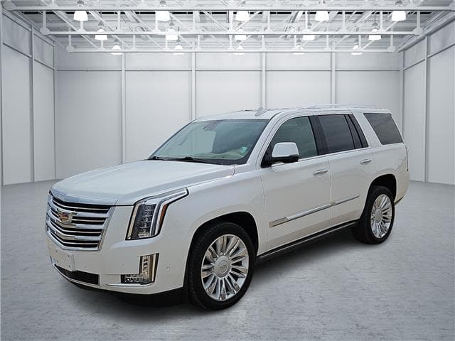 2020 Cadillac Escalade Platinum — photo 1 of 20