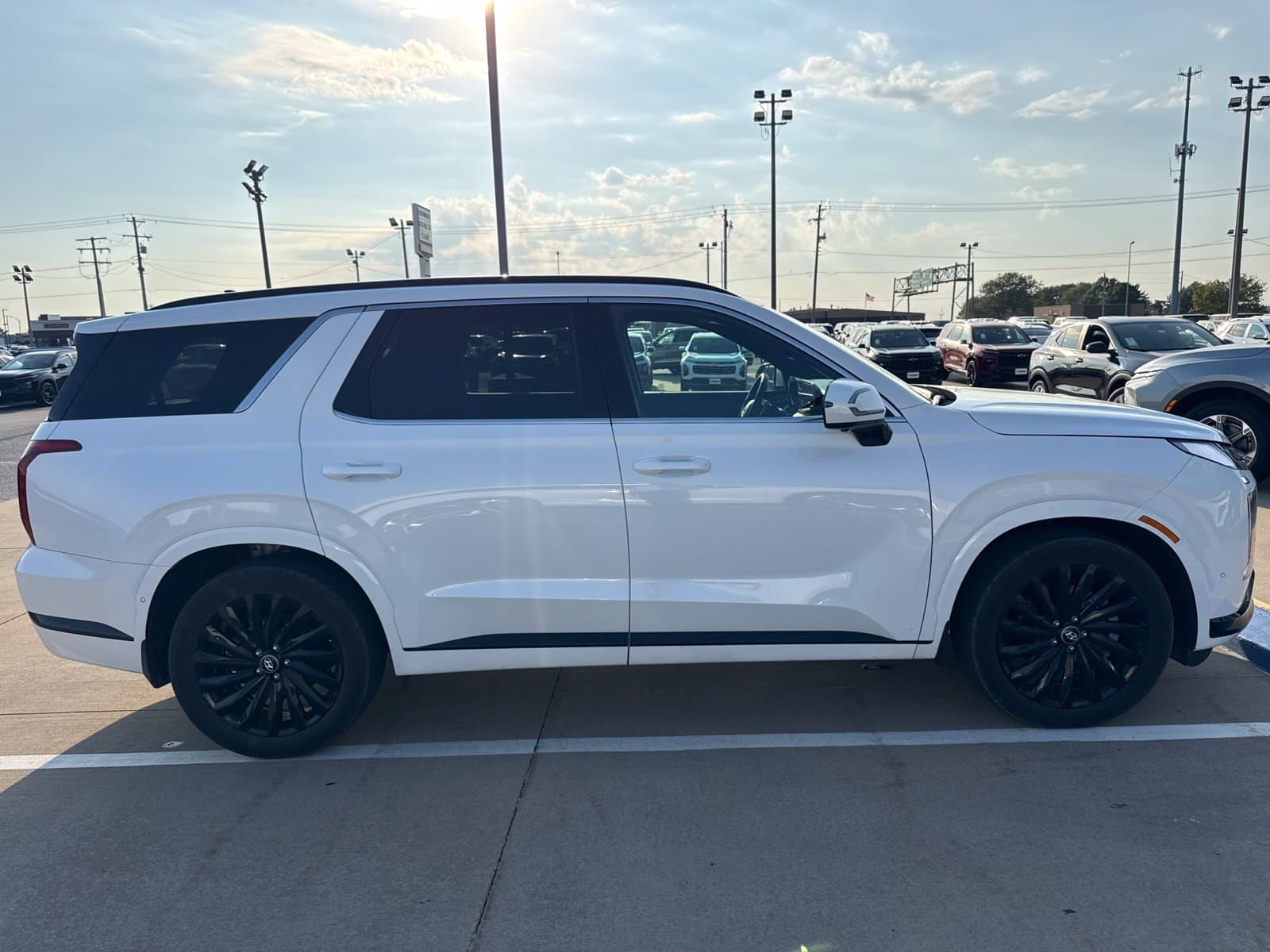 2025 Hyundai Palisade Calligraphy Night Edition — photo 1 of 5