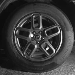 Extra Photo