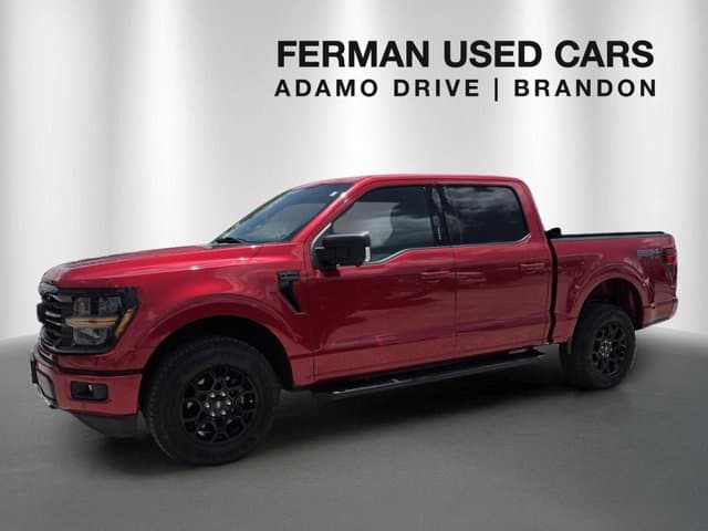 Vehicle Detail Icon