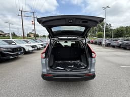 Extra Photo