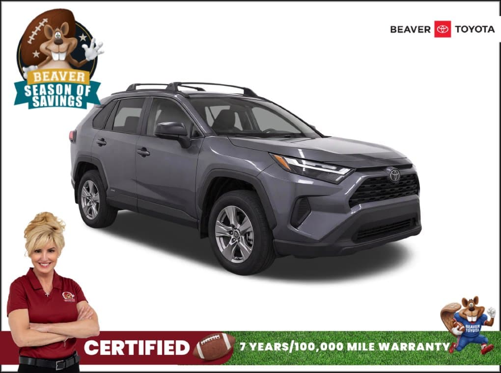2024 Toyota RAV4 Hybrid LE — photo 1 of 17