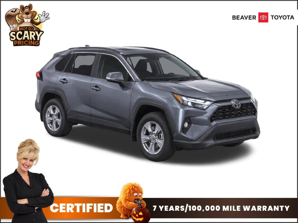 2025 Toyota RAV4 XLE — photo 1 of 17