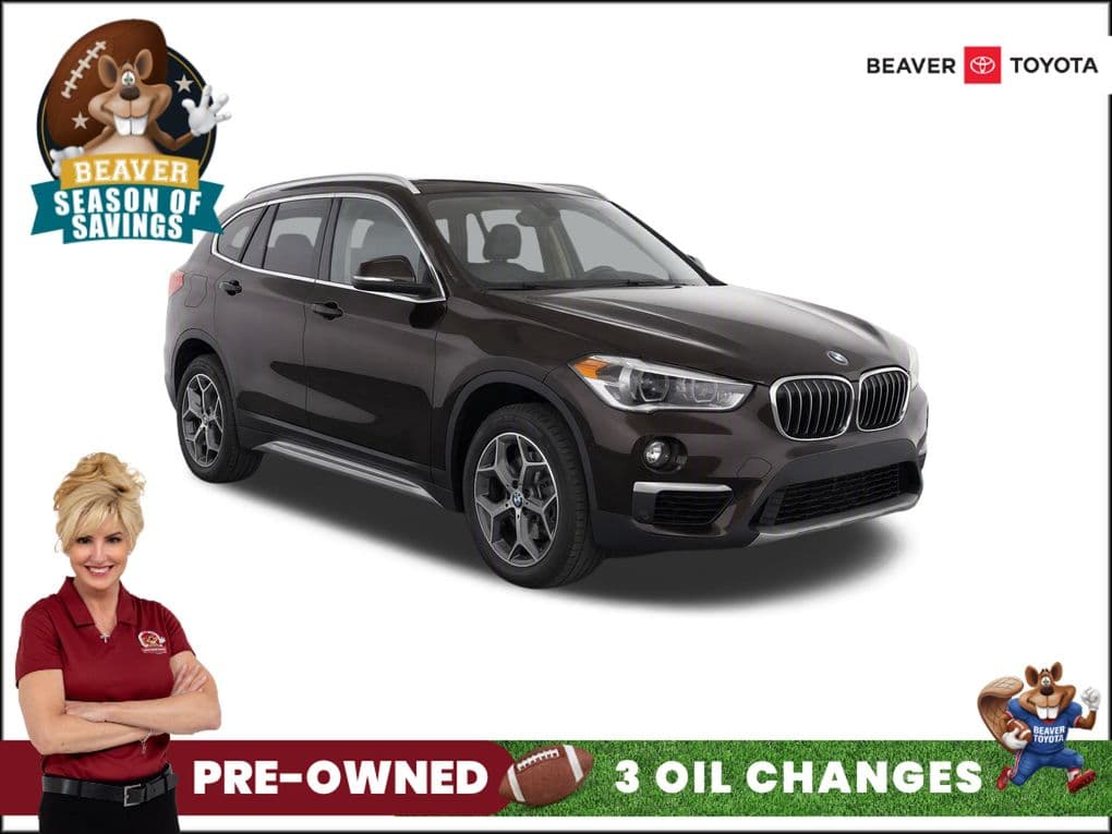 2019 BMW X1 sDrive28i — photo 1 of 14