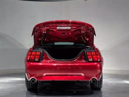 Extra Photo