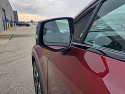 Extra Photo