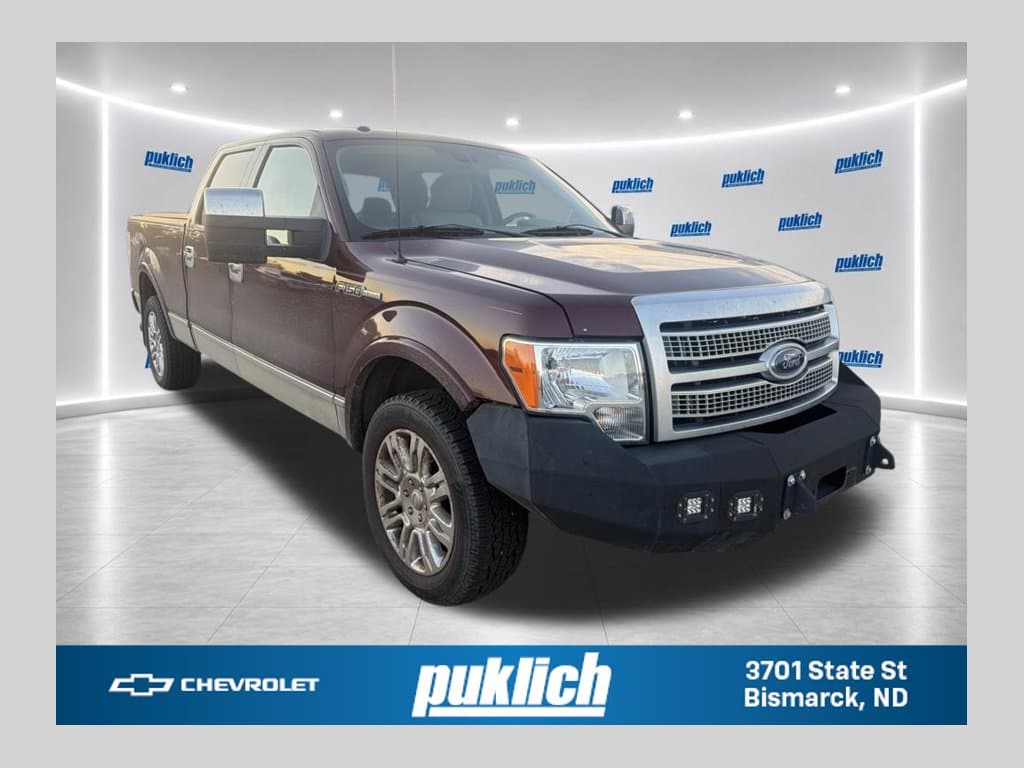 2009 Ford F-150 Platinum — photo 1 of 30