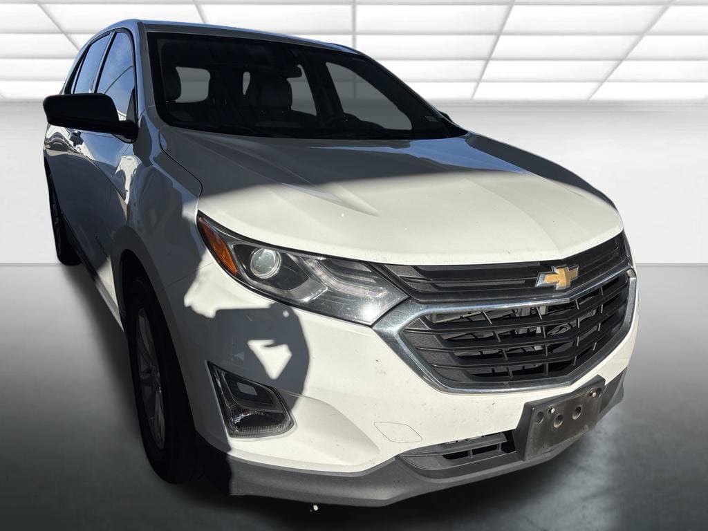 2019 Chevrolet Equinox LS — photo 1 of 11