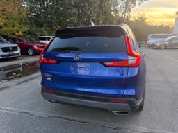 Extra Photo