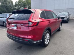 Extra Photo