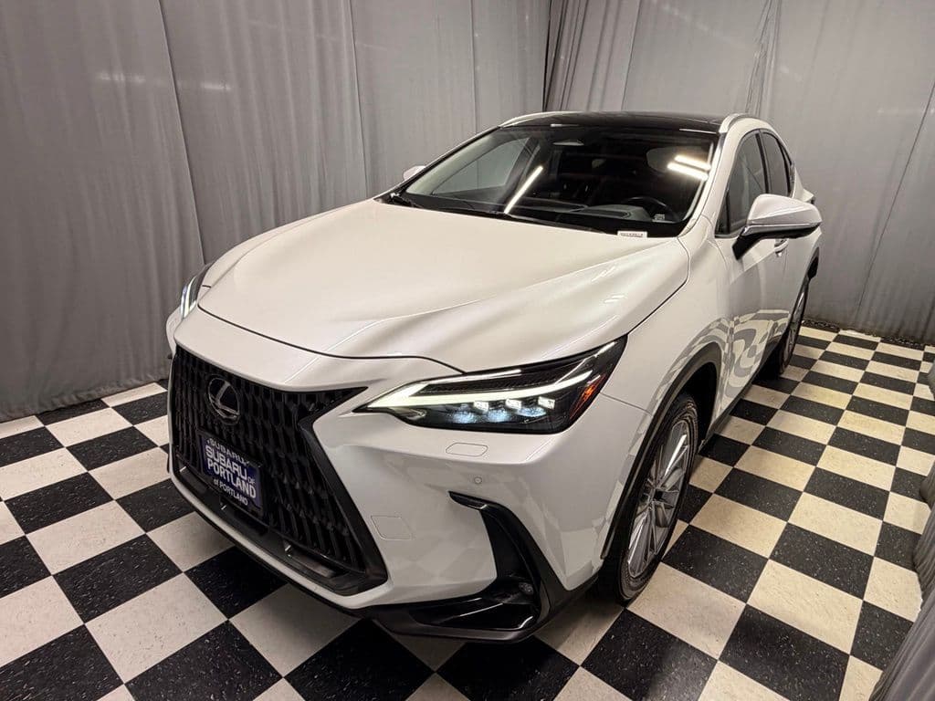 2024 Lexus NX 350 Luxury — photo 1 of 14
