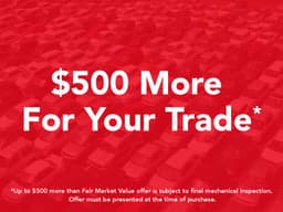Extra Photo
