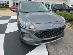 Extra Photo