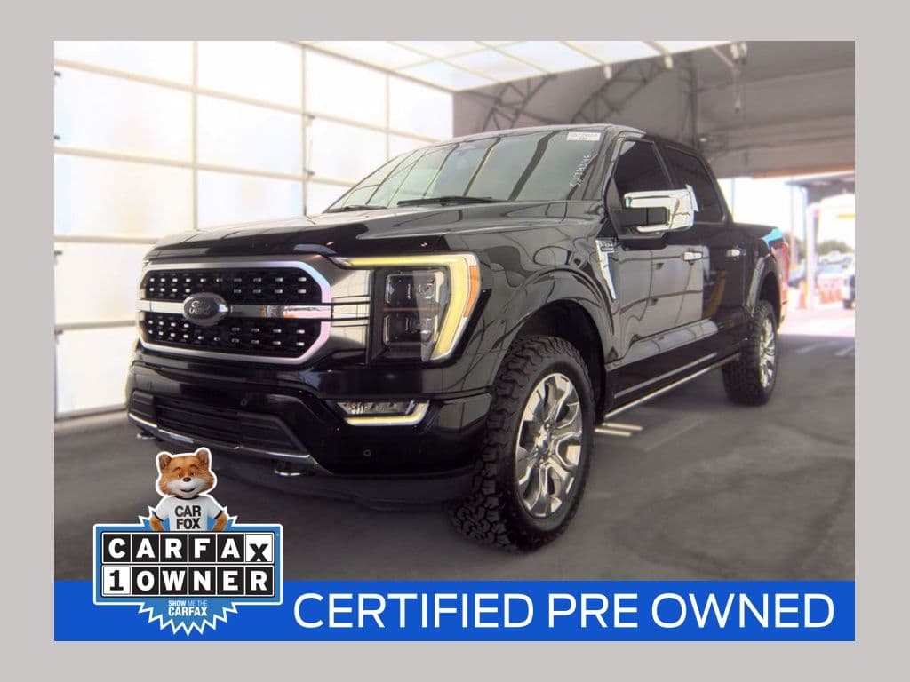 2022 Ford F-150 Platinum — photo 1 of 13