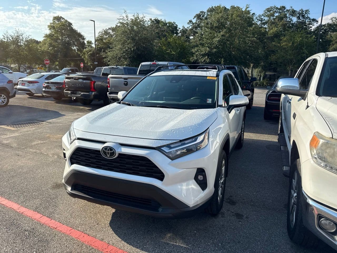 2025 Toyota RAV4 XLE Premium — photo 1 of 7