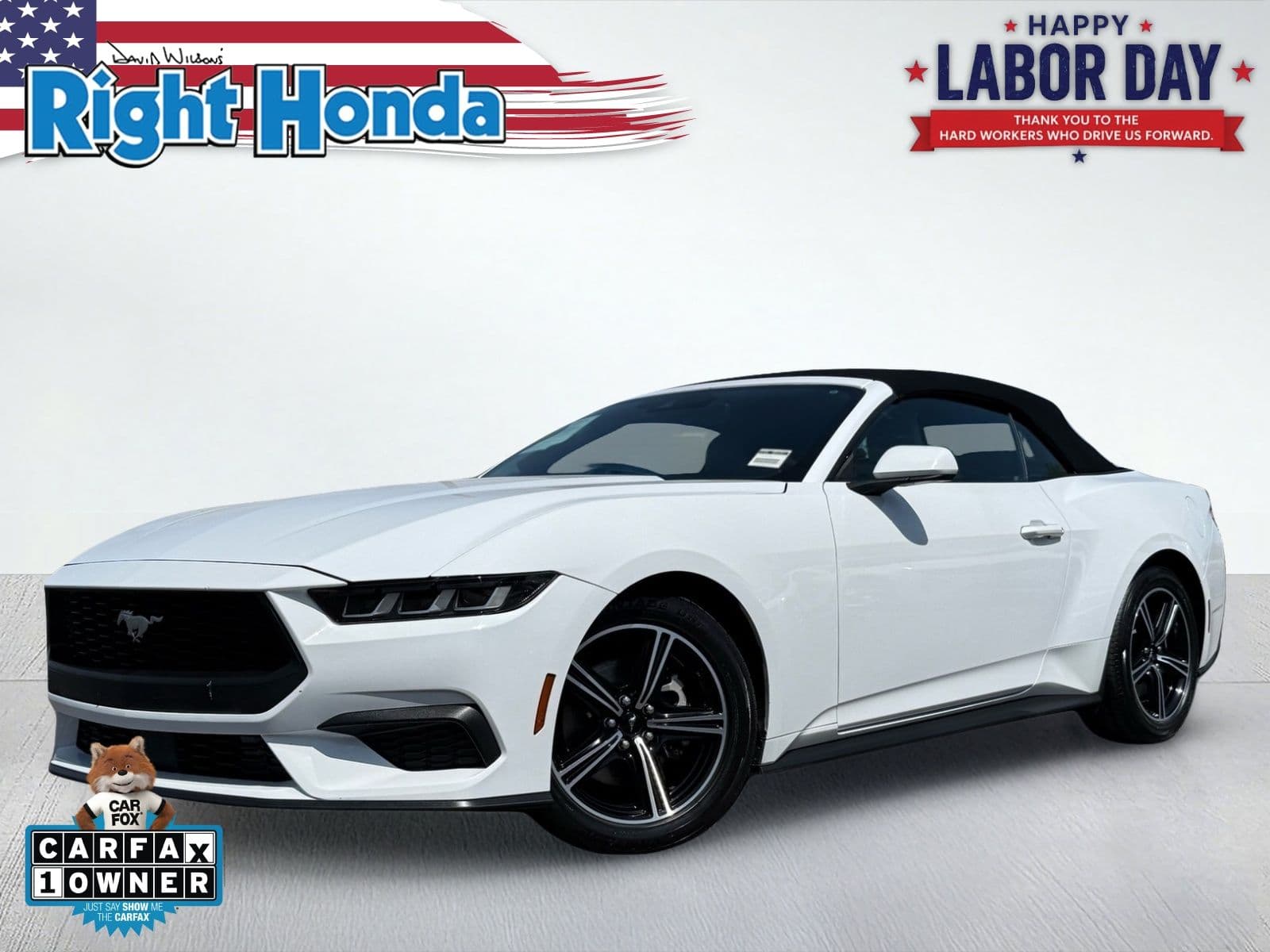 2024 Ford Mustang EcoBoost Premium — photo 1 of 36