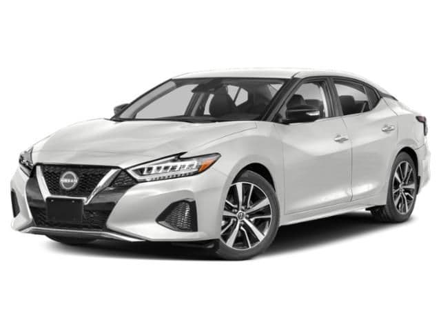 2023 Nissan Maxima SV — photo 1 of 16