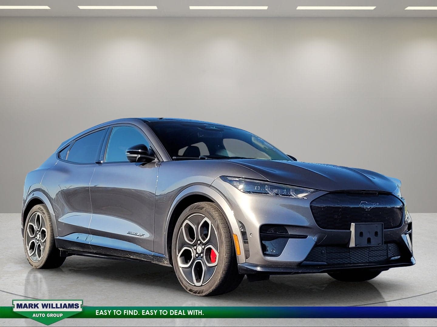 2023 Ford Mustang Mach-E GT — photo 1 of 11