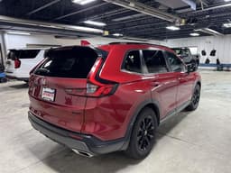 Extra Photo