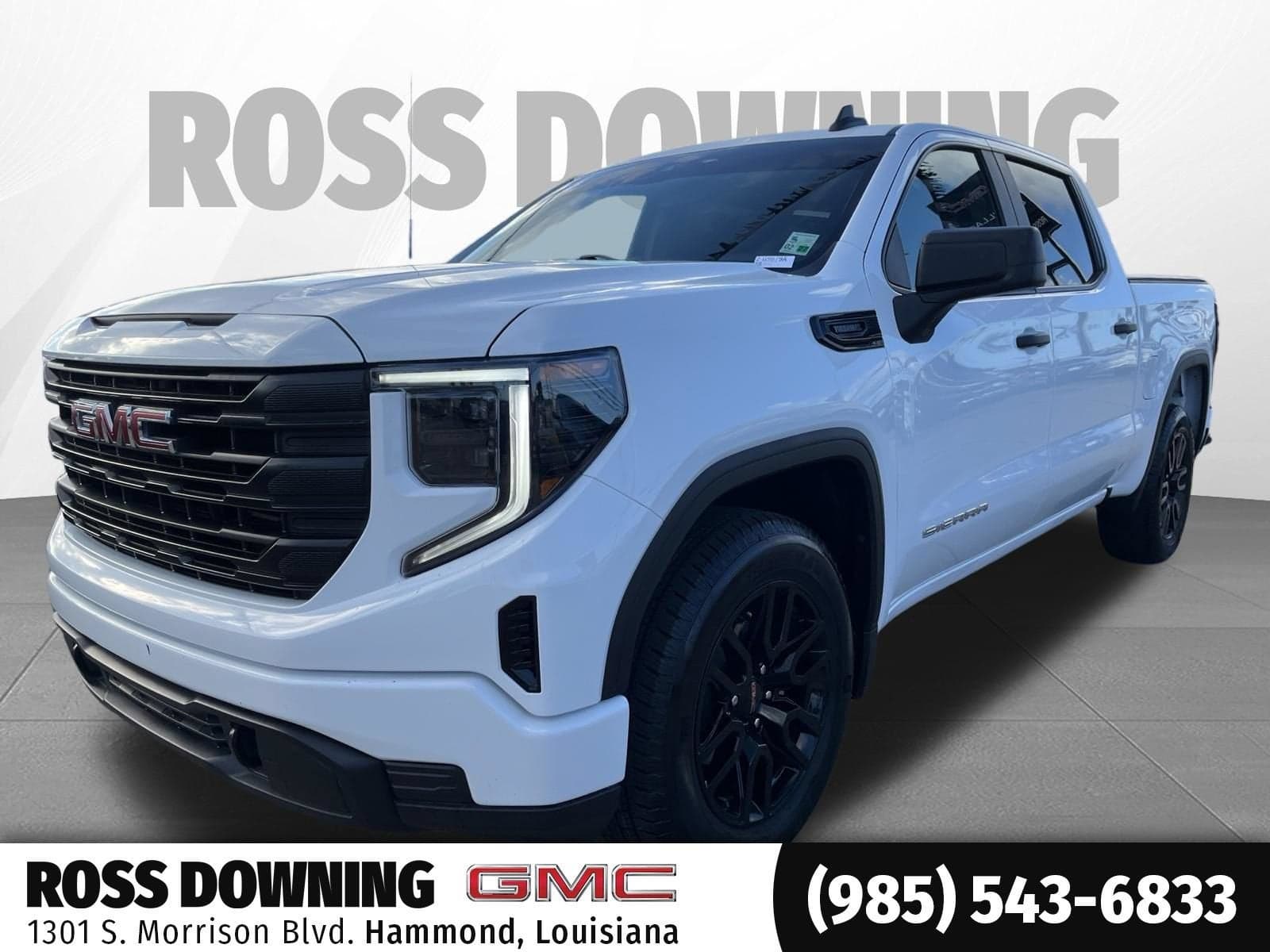 2025 GMC Sierra 1500 Pro — photo 1 of 12