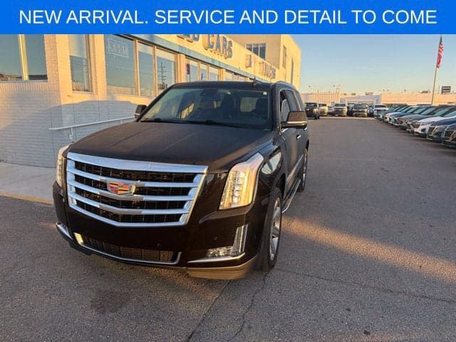 2020 Cadillac Escalade Luxury — photo 1 of 5