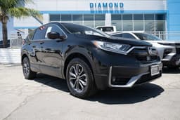 Extra Photo
